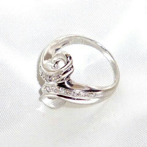 Pt850 ring_画像1