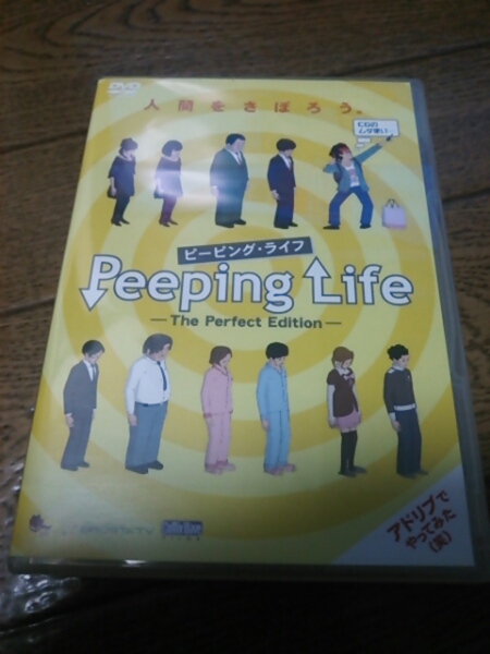DVD ピービンクライフ Peeping Life -The Perfect Edition-_画像1