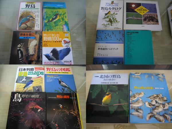 ARS書店『野鳥記』・野鳥の生態・調査研究書籍・ＣＤ・42冊・「野鳥と共に」「野鳥と環境」『野鳥の図鑑』『野の鳥の生態』・追加出品有り_画像3