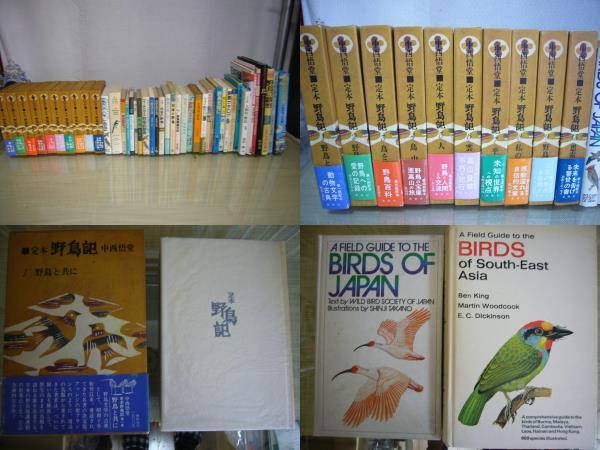 人気商品 書店野鳥記・野鳥の生態・調査研究書籍・ＣＤ・冊