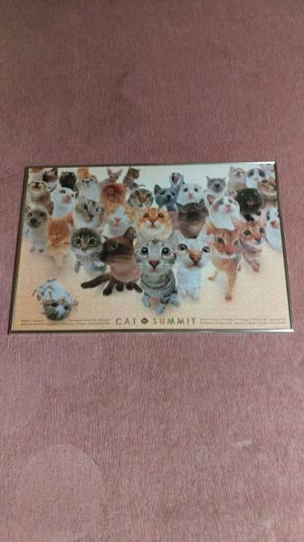 ■即決■　　パズル完成品　キャットサミット　猫　パズル　完成品　1000ピース　枠付