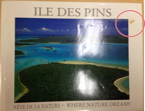 【洋書】ILE DES PINS