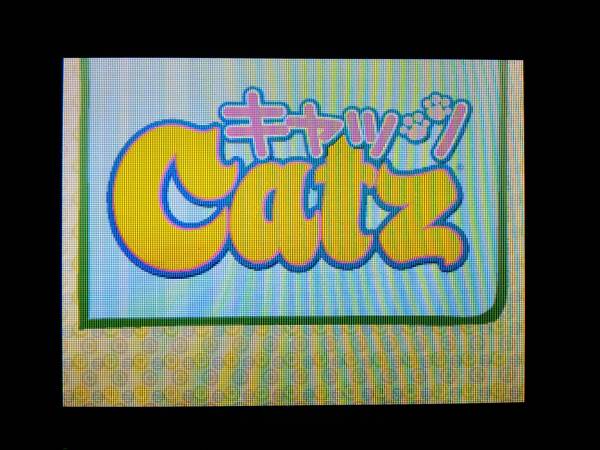 * Nintendo DS Cat's tsuCatz*