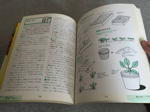 図解 やさしい野菜のつくり方
