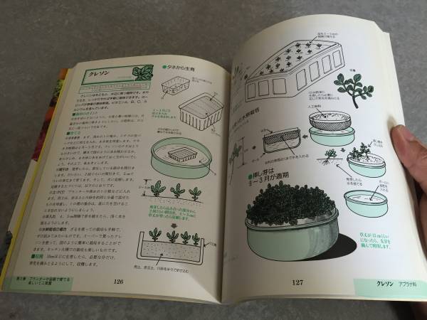 図解 やさしい野菜のつくり方