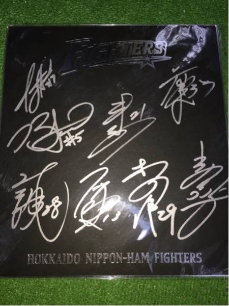 北海道日本ハム2015 8選手直筆サイン寄書き球団ロゴブラック色紙_画像1