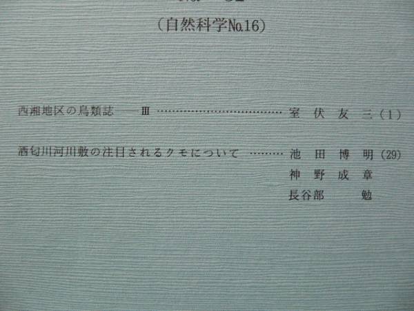 小田原市郷土文化館研究報告32号　1996年　鳥類・クモ_画像2
