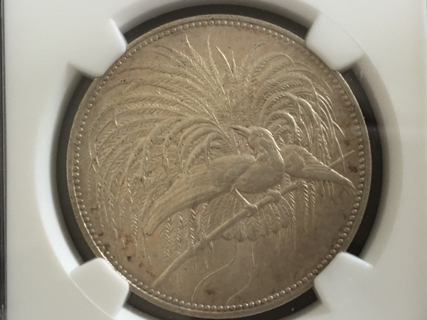 名品 1894年 ドイツ領ニューギニア５M極楽鳥銀貨 AU(ヨーロッパ)｜売買 