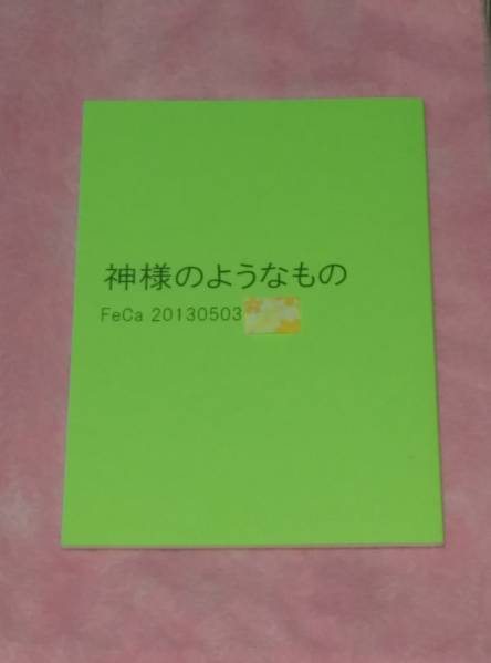 ゾロサン★神様のようなもの★FeCa_画像1