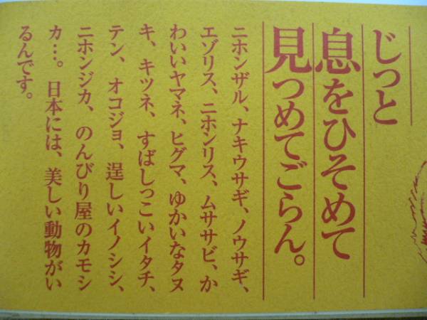 ☆野生動物に会いたくて・増井光子著_画像3