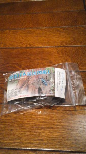 原色日本昆虫図鑑Ⅰルリボシカミキリ
