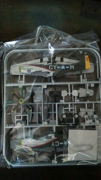 p-51d マスタング ロバート E ウェルチ 中尉