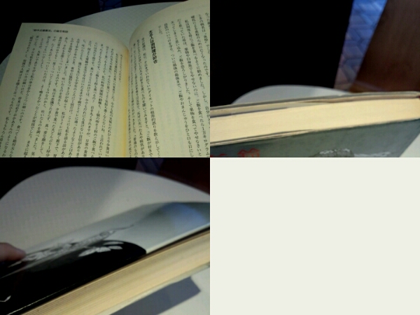  Suzuki эта . чудесный диета прекрасный . здоровье . запрос . Shogakukan Inc. 