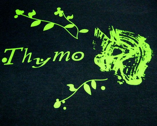 【C44】THYMO バンドTシャツ キウイロール OG_画像2