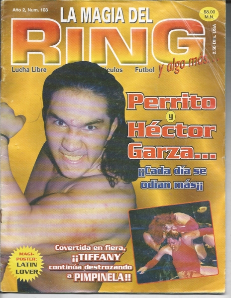 LA MAGIA DEL RING（ルチャ・リブレ雑誌） 【ペロ・アグアヨ・ジュニア / ペリート / プロレス】_画像は実物よりもきれいに見えます。