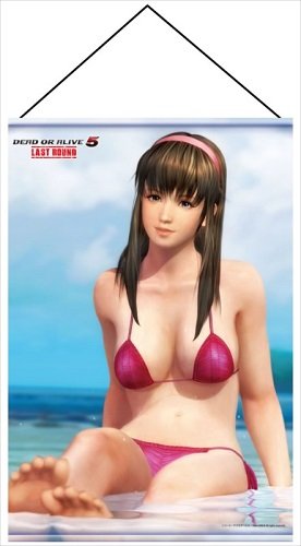 新品　DEAD OR ALIVE5 B2タペストリー ヒトミ　　DOA5LR_画像1