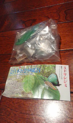 原色日本昆虫図鑑 Ⅳ ミドリシジミ