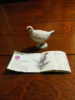 カプセルＱ 日本の動物 日本アルプス ライチョウ(冬毛)