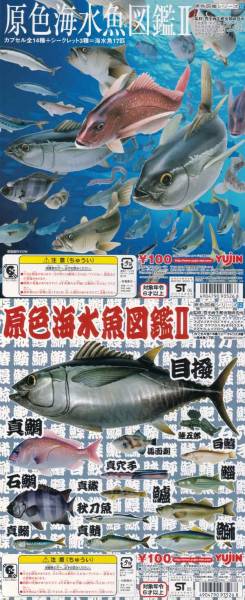 激レア】原色海水魚図鑑ＩＩ　マサバ単品_画像1