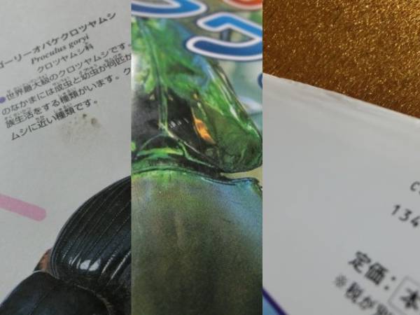 * rhinoceros beetle * stag beetle * new wide Gakken. illustrated reference book *