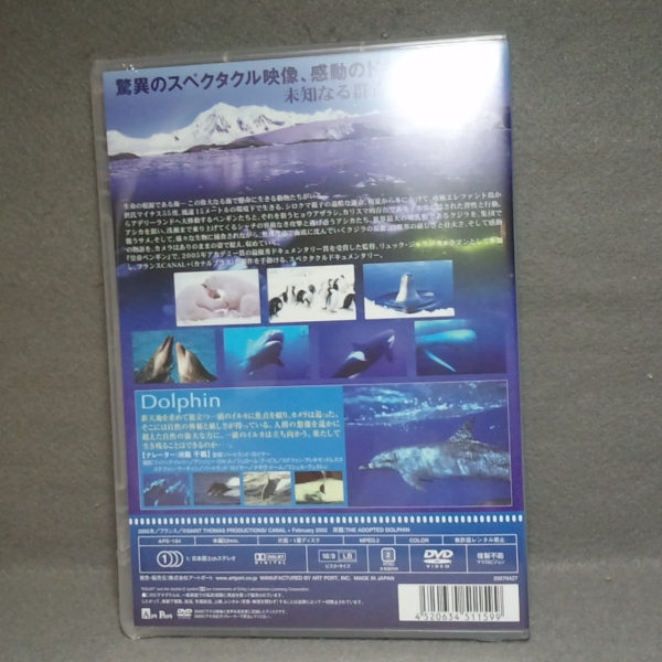  Discovery ob Ocean дельфин DVD новый товар 