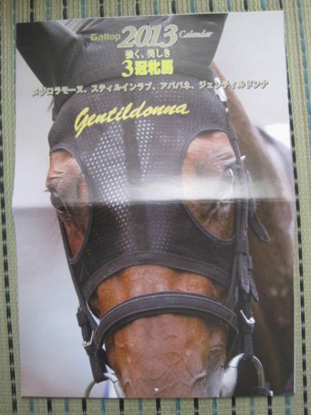 臨時増刊号・ギャロップ付録2013年カレンダー（３冠牝馬・メジロラモーヌ・スティルインラブ・アパパネ・ジェンティルドンナ）の画像2