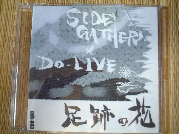[CD]沖縄インディーズ SIDE GATHER