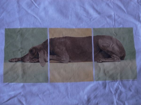 90's USA製 William Wegman Weimaraner LYING DOG フォト Tシャツ S ウィリアム ウェッグマン FOTOFOLIO ワイマナラー犬 ART芸術 美術館/_画像1