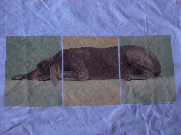 90's USA製 William Wegman Weimaraner LYING DOG フォト Tシャツ S ウィリアム ウェッグマン FOTOFOLIO ワイマナラー犬 ART芸術 美術館/