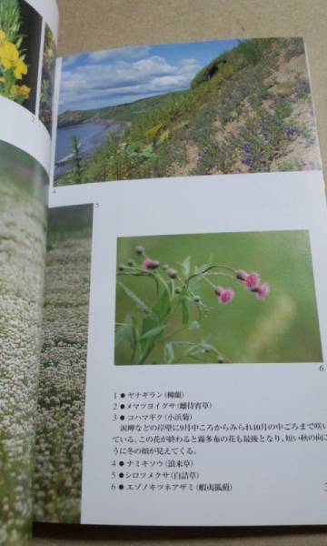  цветок. .. туман много ткань . восток . мир Hokkaido газета фирма 