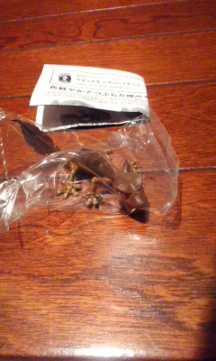 カプセルQ ヤモリ大全 エダハヘラオヤモリ