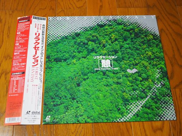 LD! сирень kse-shon!FOREST FANTASY