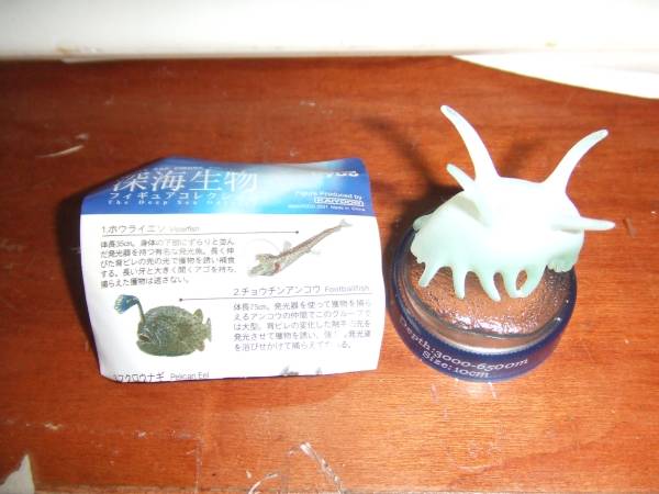  Kaiyodo * bottle cap * deep sea living thing [sen juna mako]