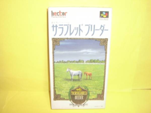 ☆中古☆　SFC　【　サラブレッドブリーダー　】【即決】