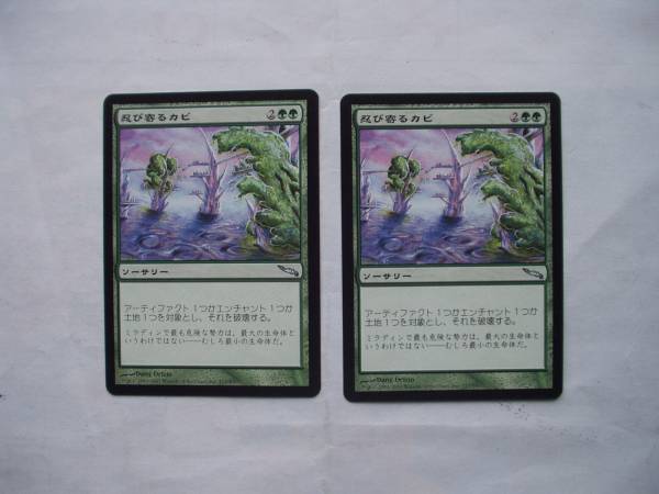 バイン　MTG 忍び寄るカビ 日本語4枚_画像1