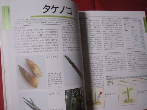 ☆花図鑑　野菜＋果物　草土　花図鑑シリーズ④　【植物】_画像2