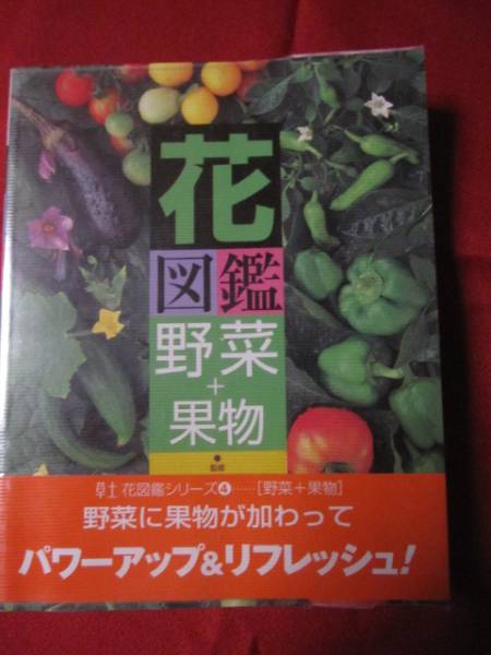 ☆花図鑑　野菜＋果物　草土　花図鑑シリーズ④　【植物】