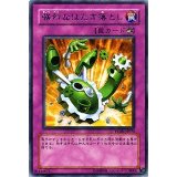 遊戯王 【 強烈なはたき落とし 】 PTDN-JP074-R ２枚_画像1