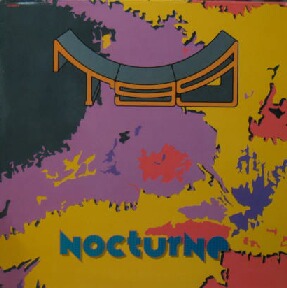 $ T99 / NOCTURNE (657409 6) EMPHASIS Y20 ジュリアナ系　12インチ　レコード (PS) Y20_画像1