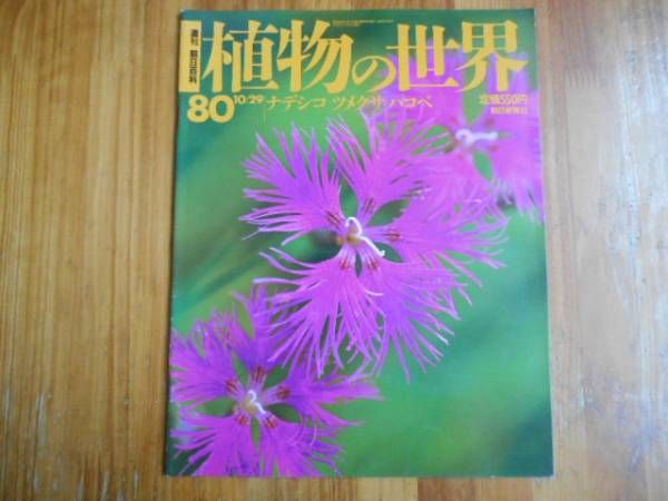 ★　週刊　 朝日百科　 植物の世界　80　ナデシコ　ツメクサ　　タカ58_画像1