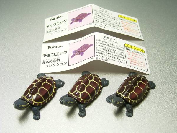 人気種クサガメ レア初期＆後期計3体 チョコエッグ日本の動物1弾_画像1