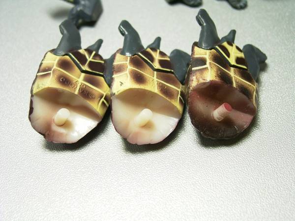 人気種クサガメ レア初期＆後期計3体 チョコエッグ日本の動物1弾_画像3