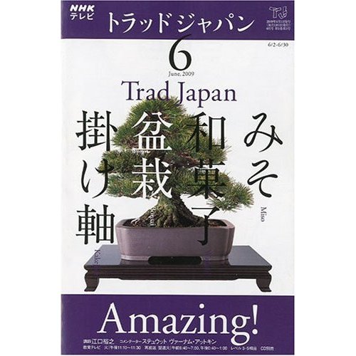 NHK テレビ Trad Japan ( トラッドジャパン ) 2009年 06月号_画像1