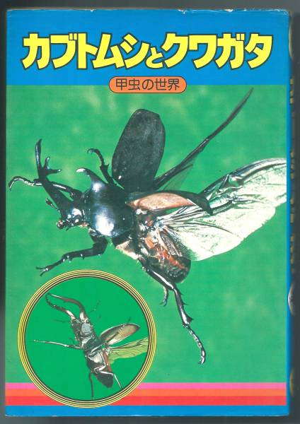 ◎即決◆カブトムシとクワガタ　甲虫の世界 モンキー文庫 集英社_画像1