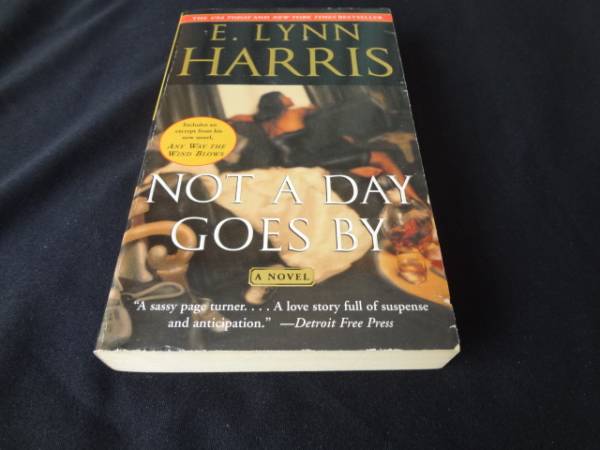 洋書　Not a Day Goes By e.lynn harris 送料無料_画像1