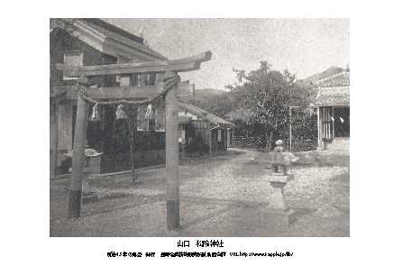  немедленная покупка, Meiji переиздание открытка, Yamaguchi, сосна . бог фирма 1 листов,100 год передний. пейзаж,