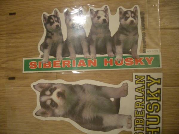  prompt decision * Showa Retro *sibe Lien husky sticker 2 pieces set! dog! dog! seal! outside fixed form 120 jpy *