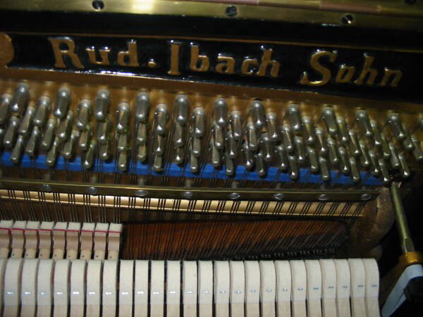 ?100年以上前の逸品！ ＲＵＤ．ＩＢＡＣＨ?。樱希龋?