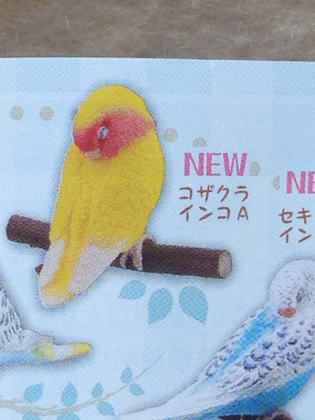 手のりインココレクション スヤスヤおやすみ編 コザクラインコA_画像1