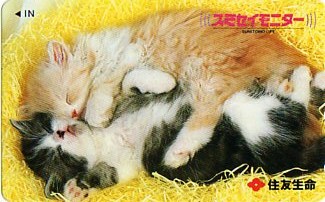 ★住友生命（猫）のテレカ★_画像1